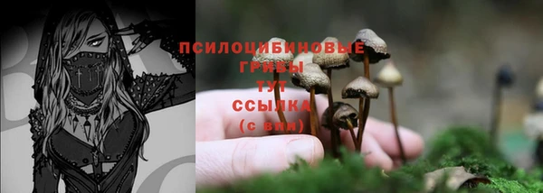 кокаин VHQ Новодвинск